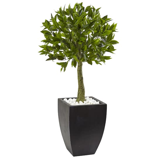 Michaels, 3.5ft. Bay Leaf Topiary in Black Wash Planter – Category: Trees & Floor Plants